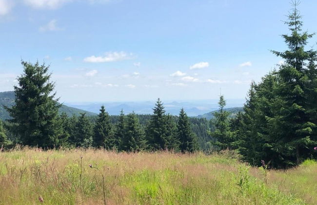 Majestic Stay in Deutschneudorf - Foto 40