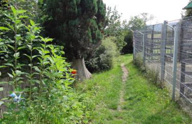 ruhiges Wohnen am Lama und Maine Coon Hof in Alleinlage in Biederbach 3 Zimmer mit Kochgelegenheit Bad - Foto 68