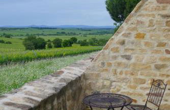 Modernes Apartment in den Weinbergen der Pfalz - Foto 9