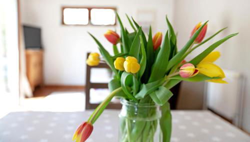 Ferienhaus 'kiek op de Beek' - Foto 5