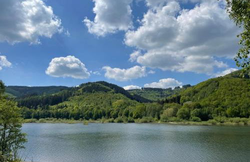 Bergstadt Apartment Lautenthal ,Modern, Stylisch, Geräumig - Foto 53