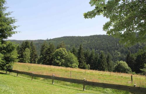Ferienhaus Bruno - Südhanglage mit 2 Schlafzimmern - Foto 20