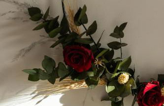 Flou de Pin - Foto 29