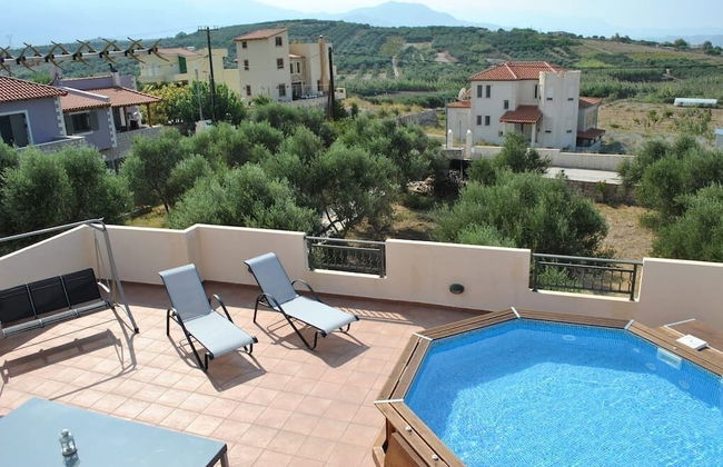 Olive Tree Farm - Foto 1