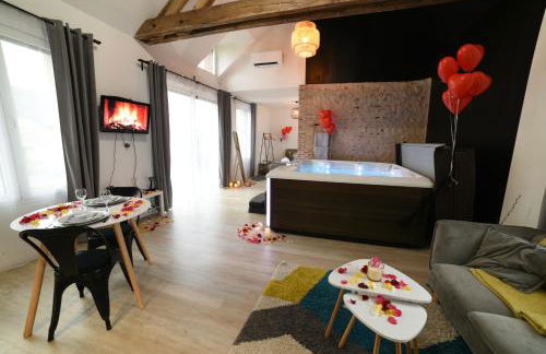 Eaudyssée maison avec SPA privée - Loiret - Photo 12