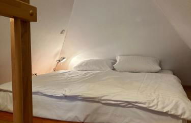 Historisches Eckermannhaus - Apartments - Foto 46