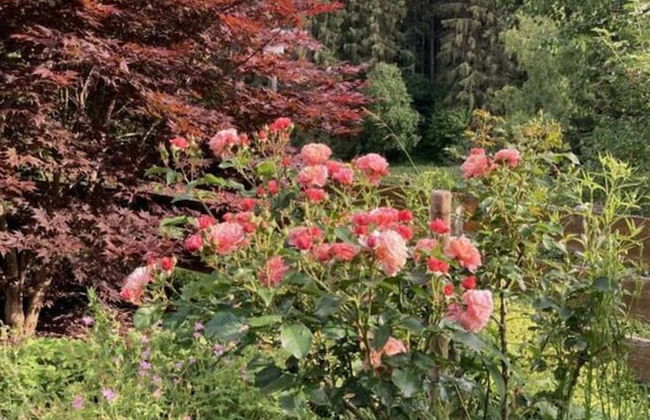 Appealing Apartment in Lenzkirch - Foto 36