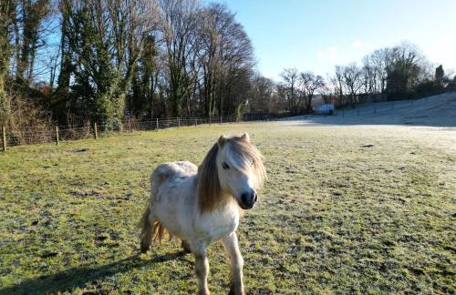 The Cabin Leat Road - Foto 13