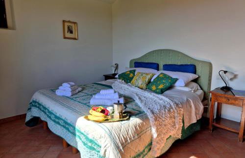 Agriturismo il Pino - Bioagricoltura - Photo 5