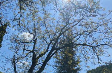 La Genevraie - Foto 12