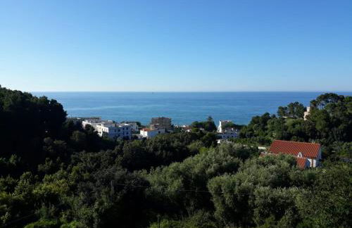 Calypso Casa - Foto 45