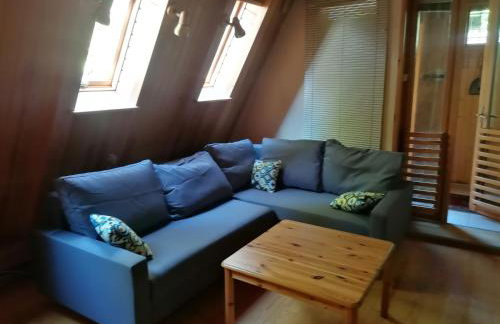 Domki Brenna Leśnica - Foto 45