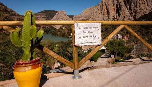 La Tienda de Miguel - Foto 2