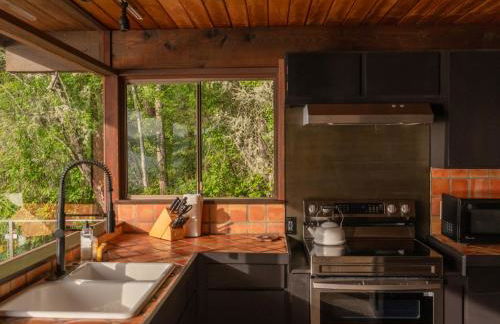 The Bald Seagle - Foto 19