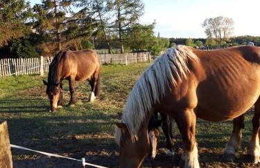 Wooden House Near Baltic Sea Beaches - Photo 59