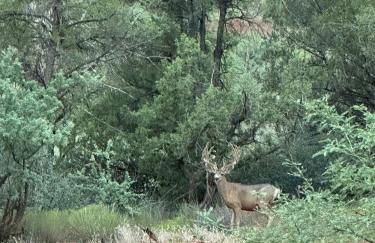 Cathedral Casita at Sedona Cathedral Hideaway LLC - Foto 59
