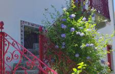 Epavli Sofia' s two Apartments in Horto, 30m from the sea - Foto 7