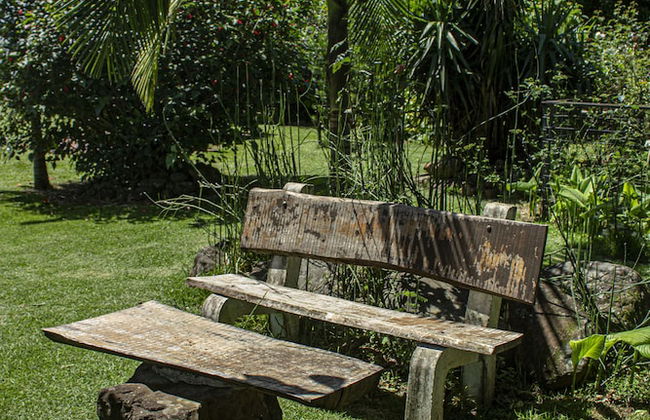 Cabanas Jardim dos Canyons - Foto 32