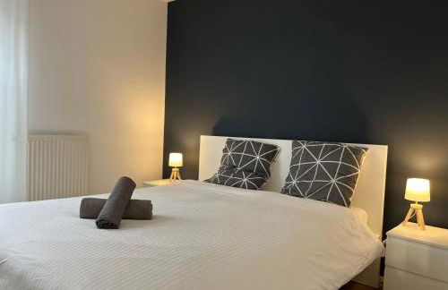 Grand T2 Centre Ville avec Parking Gratuit - Foto 3