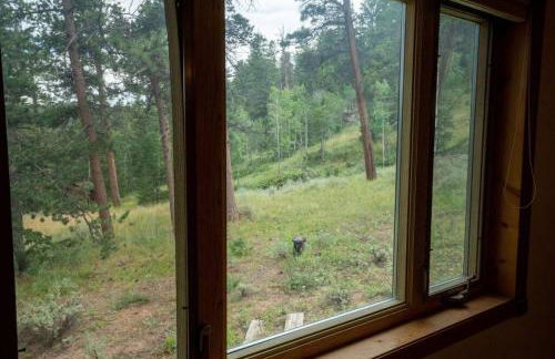 Warm Woodland Getaway with Land - Foto 17