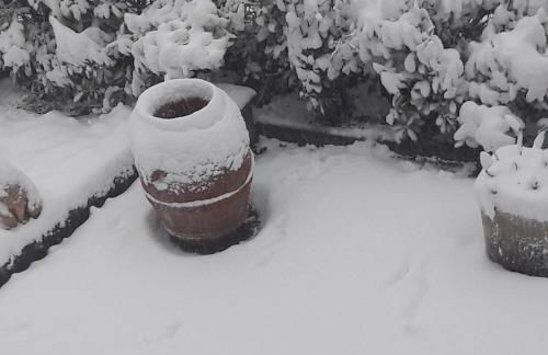 La gazza allegra - Foto 29