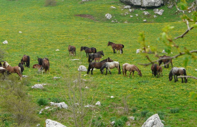 House With Pool, Garden and Wifi in Medieval Village, With Panoramic Views - Foto 35