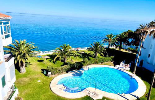 Palmeras 81 - Foto 34