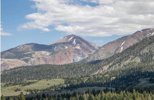 Ski in/Out 1B/1BA w/ View - Pool, Jacuzzi, Parking - Foto 15