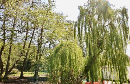 Gîtes Terra di a Bravona - Foto 37