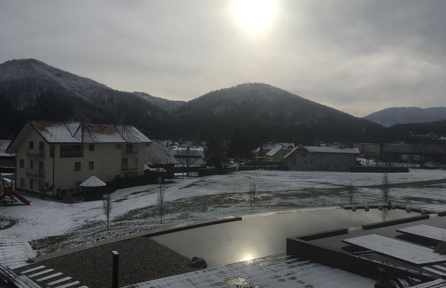 Apartments Beeland Skok Mozirje - Foto 43