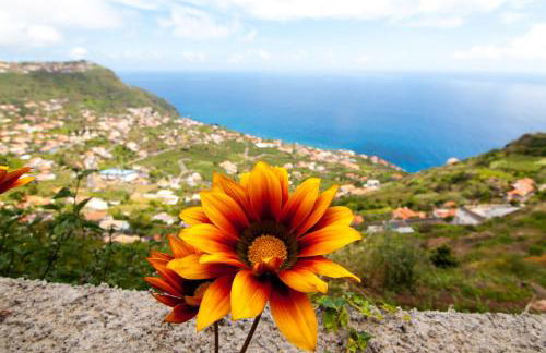 Casa da Tenda - Photo 16