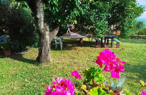 Poderino La Noce - Foto 64