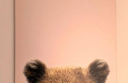 Perla delle Alpi - Photo 20