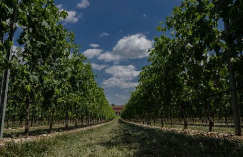 Agriturismo Corte Ambrosio - Foto 48