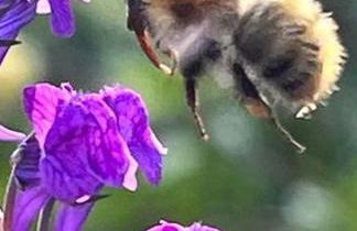 The Old Cheese Press, Eckington - Foto 35