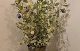 La casa de la abuela Amalia - Photo 23