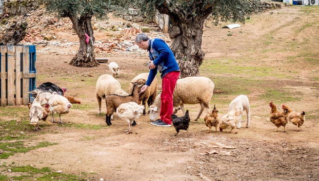 Quinta Manel Da Gaita - Foto 4