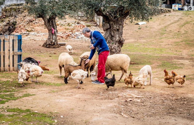 Quinta Manel Da Gaita - Foto 4