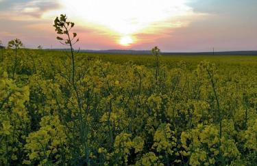 Gite Au Grenier Cosy - Foto 20