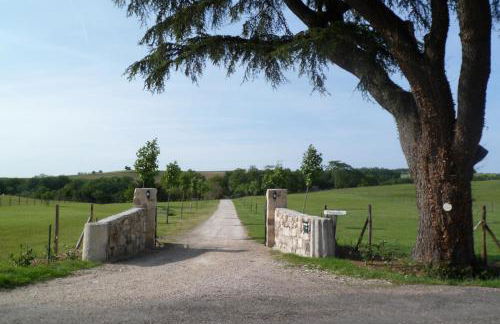 Château de Pleneselve - Foto 61