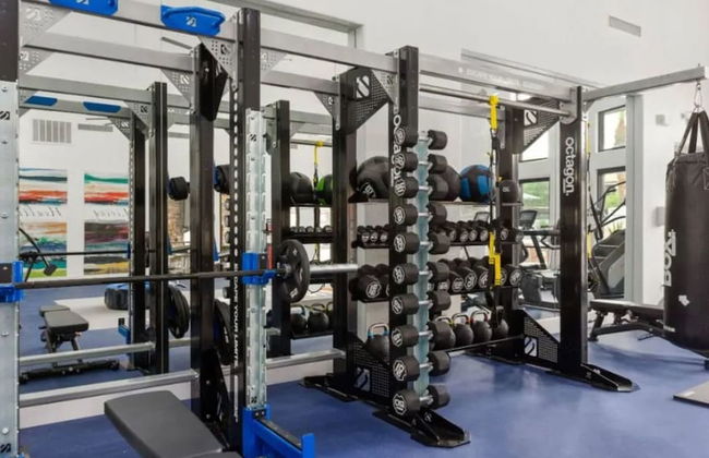 Zone LUXE - Photo 25