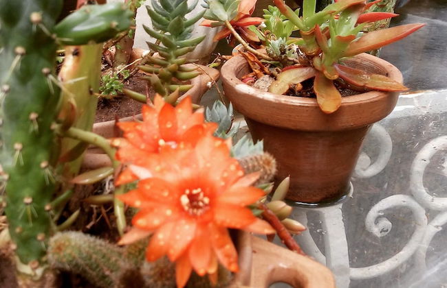 Holiday Home Mendoza Leisure Time - Foto 74