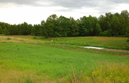 Zagroda z Antonówką - Foto 10