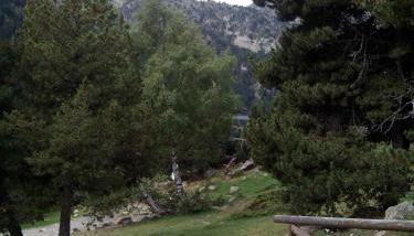 Apartaments l'Arrel - Photo 5