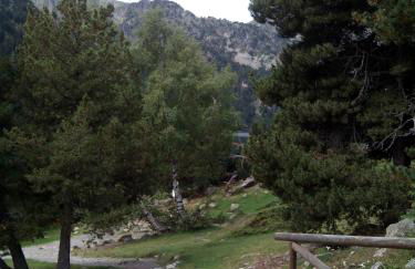 Apartaments l'Arrel - Photo 5