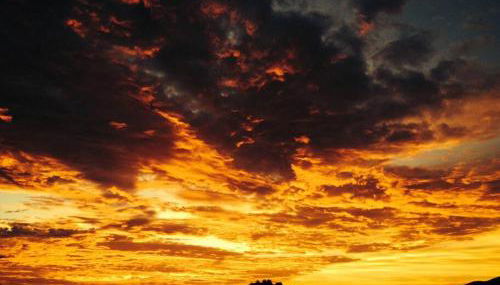 Garden Oasis at Banana Hale Studio - Foto 5