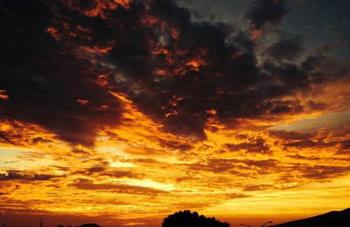 Garden Oasis at Banana Hale Studio - Foto 5