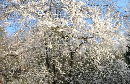 Kunst Ferienwohnung 200 Meter zum Elbesandstrand - Foto 28