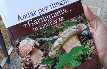 Alpeggio Pruno - Foto 36