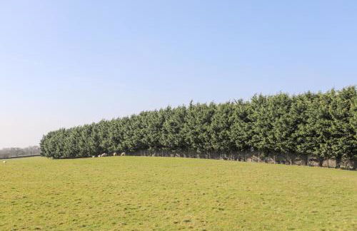 Bryn Afon Farm - Photo 36